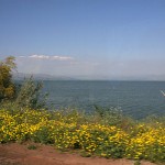 Тивериадское (Генисаретское) озеро