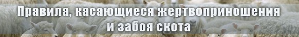 Правила, касающиеся жертвоприношения и забоя скота