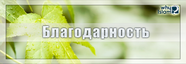 Благодарность